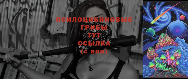 крисы Снежинск